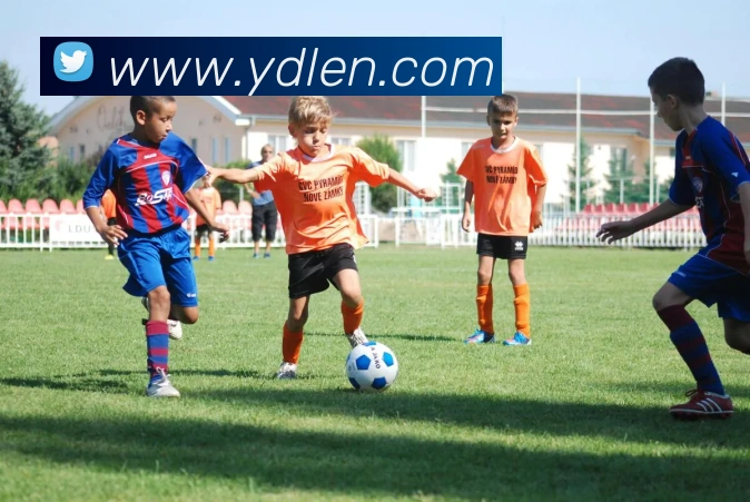 beat365在线登陆入口平台生态图